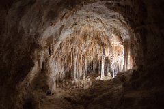 26_Carlsbad Caverns National Park_14